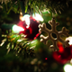Illustration for article titled Photo Contest: Christmas Lights
